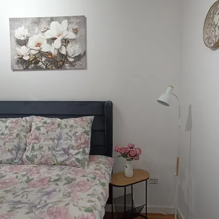 Aurea Elegant Lux 公寓